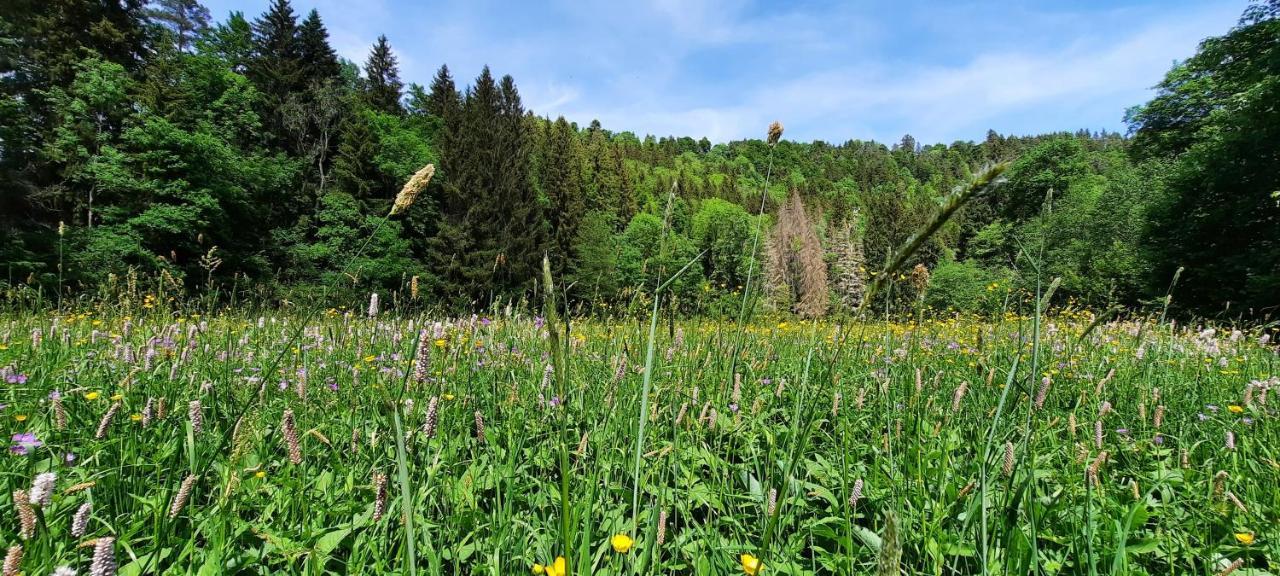 Ferienwohnung Seelust Schluchsee Luaran gambar
