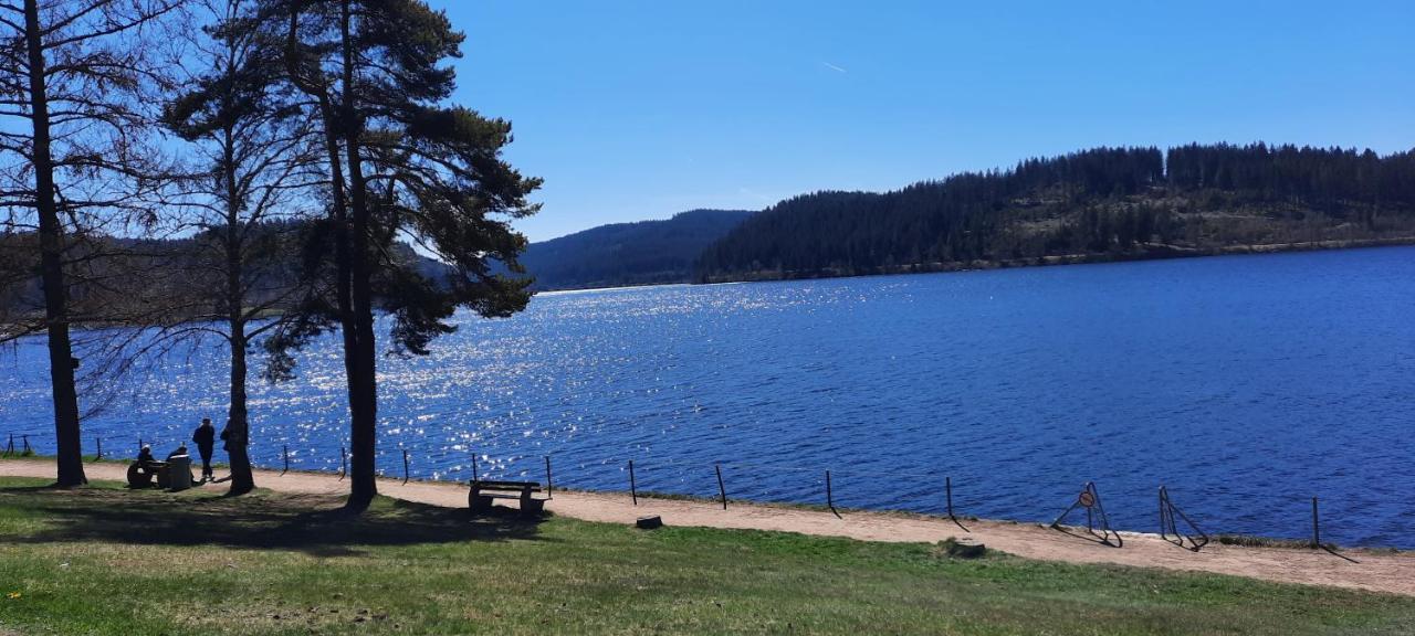 Ferienwohnung Seelust Schluchsee Luaran gambar