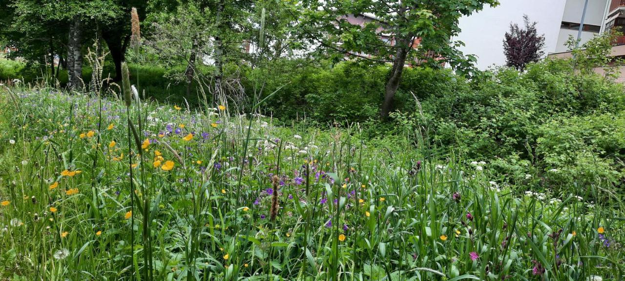 Ferienwohnung Seelust Schluchsee Luaran gambar