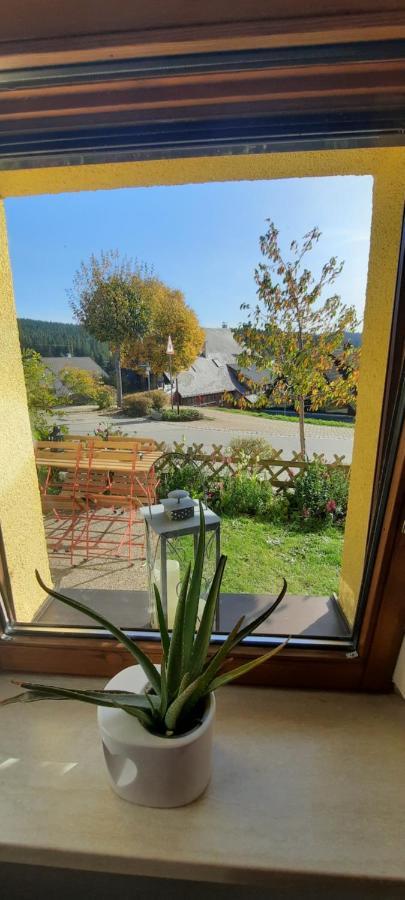 Ferienwohnung Seelust Schluchsee Luaran gambar